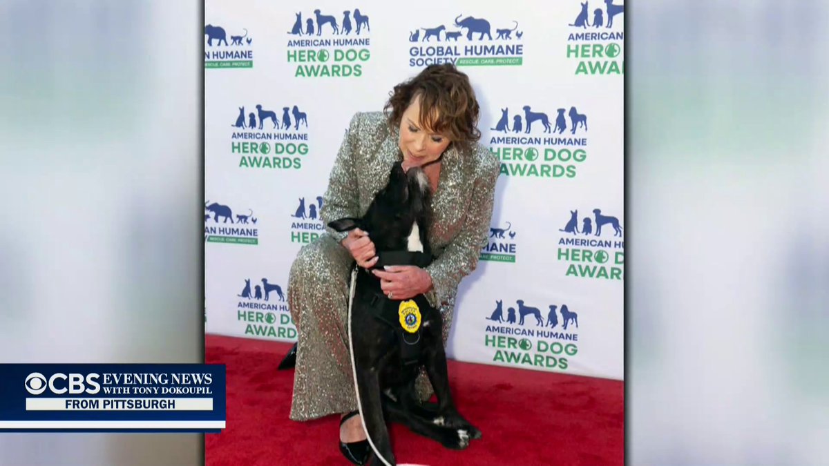 Sergeant Bo, a special therapy dog, has been named the American Humane Society’s 2025 Hero Dog Award winner for his work with the survivors of the Covenant School shooting – bringing healing and comfort to the kids grappling with tragedy. Steve Hartman is On the Road.
