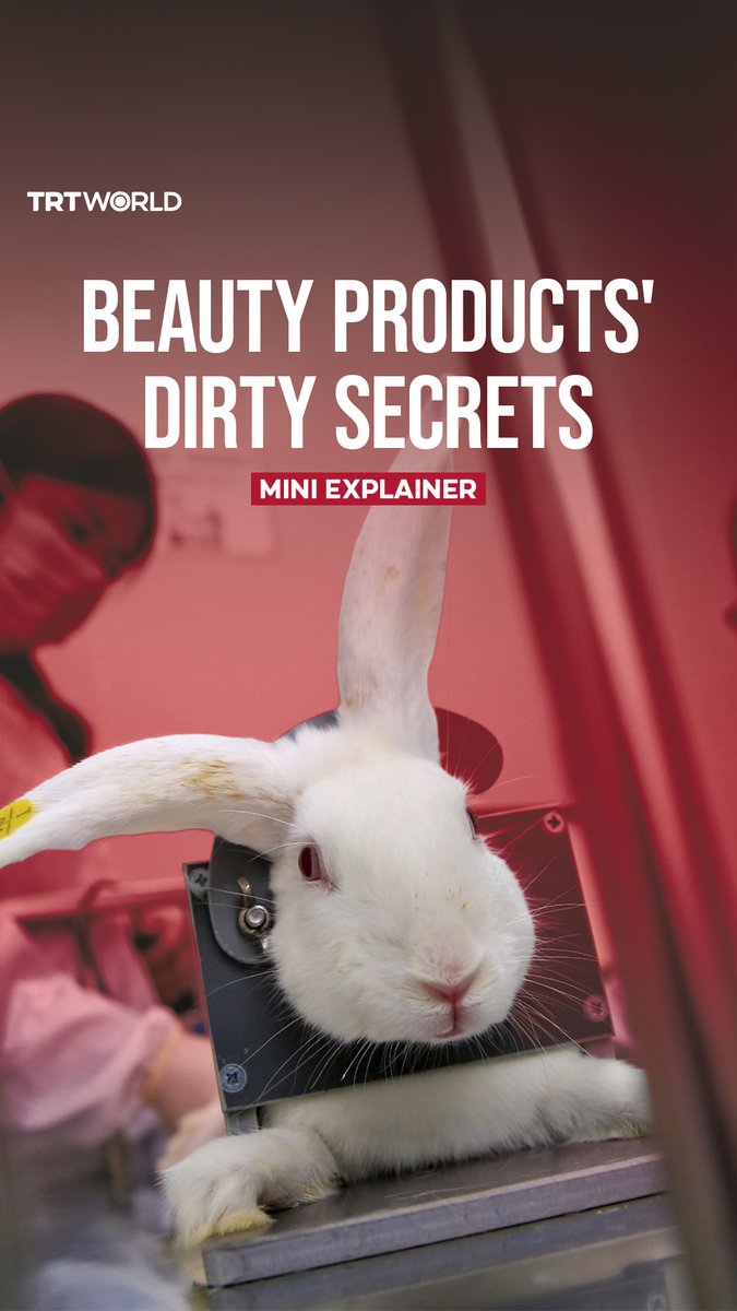 “Cruelty-free” labels on products don’t always mean no animals were harmed in their production. Cosmetic testing on animals continues, despite proven alternatives