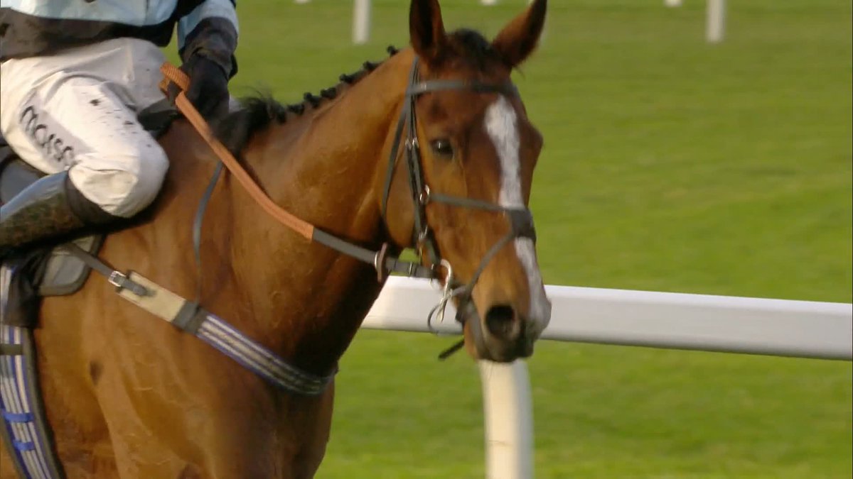 Back to back wins 👏 Came From Nowhere wins the BetMGM Holloway's Handicap Hurdle 🥇 #ITVRacing | Lorcan Williams |Jeremy R.M. Scott
