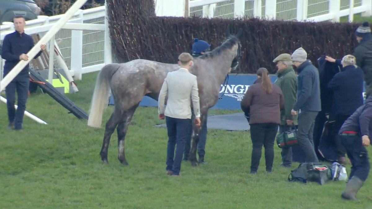Il Etait Temps is up after his fall in the Clarence House ❤️