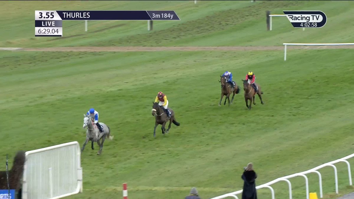 𝐏𝐚𝐧𝐝𝐚 𝐁𝐨𝐲 roars in the SIS Ltd Supporting Irish Racing Hunters Chase Thurles Racecourse 🐼 Such a tough performance from the grey in a race that usually impacts the CheltenhamRacecourse markets in March .... There's also the small matter of the National Aintree Racecourse