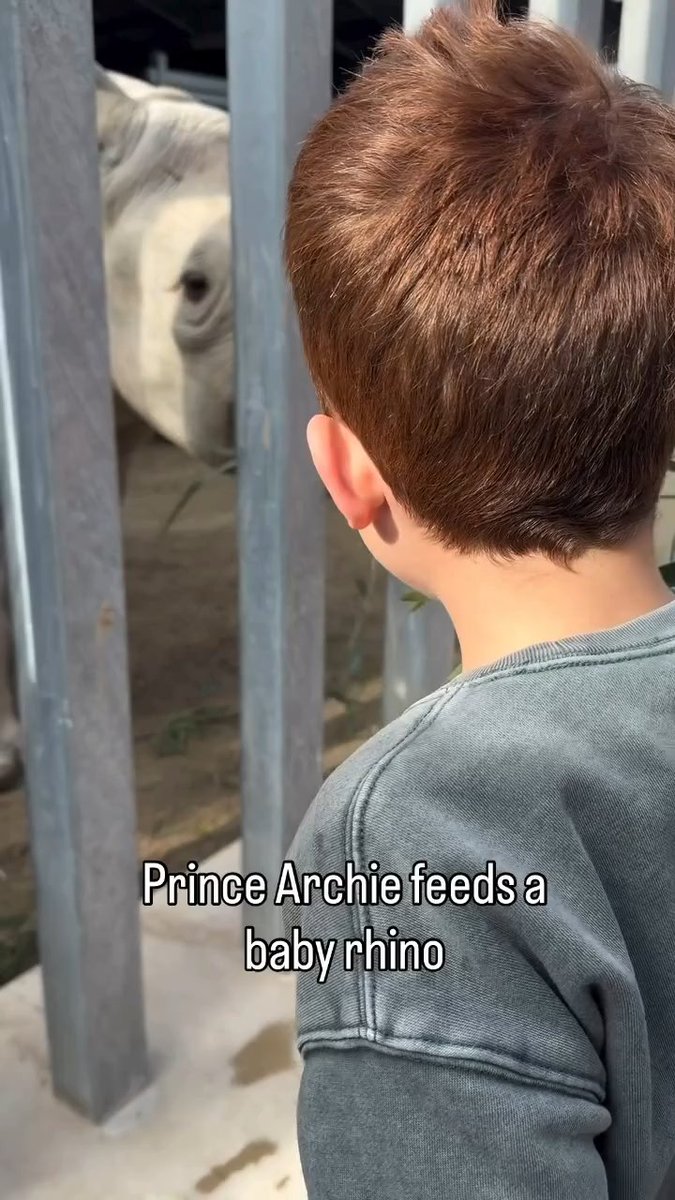 Just like Daddy! Prince Harry and Meghan’s son Prince Archie was captured on camera feeding a baby rhino during a family visit to The Living Desert Zoo and Gardens 🥹 #meghanmarkle #princeharry 📽️: Meghan