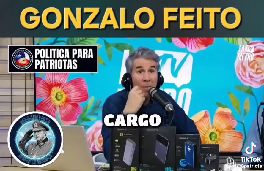 "Estos huevones son de una inoperancia en ineptitud que es una locura. Paraliza inversiones, hospitales... porque aparece un hueso de pollo, un nido de arañas o un hoyo con lagartijas."