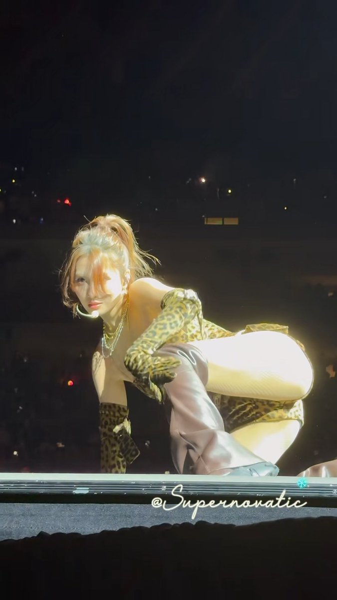 OBSESSED WITH MOMO IN HIGH PONYTAIL