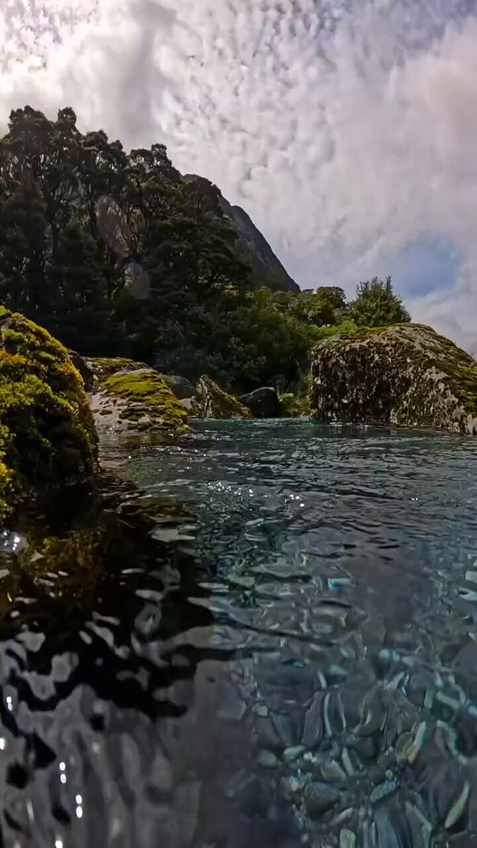 "Aguas Cristalinas" Porque así es cómo se ve el agua debajo cuando es completamente limpia.