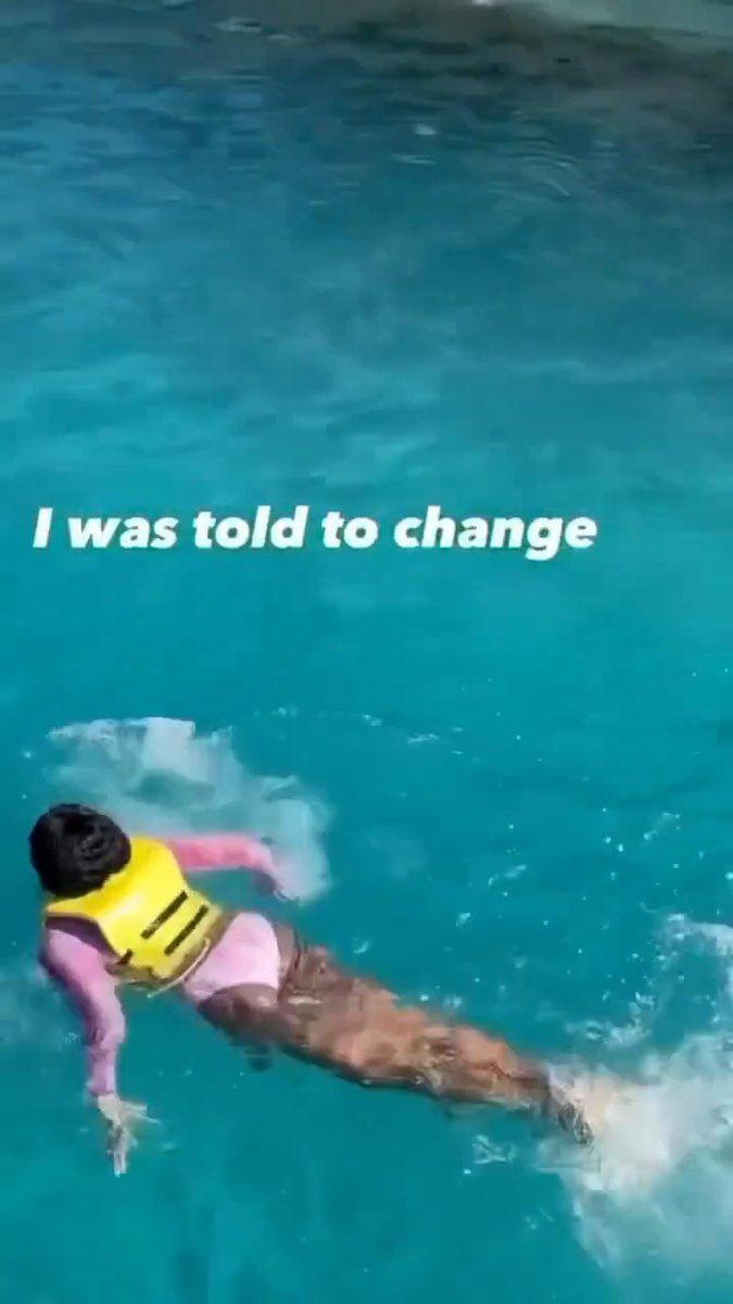 Dolphins are one of the most intelligent creatures on earth
