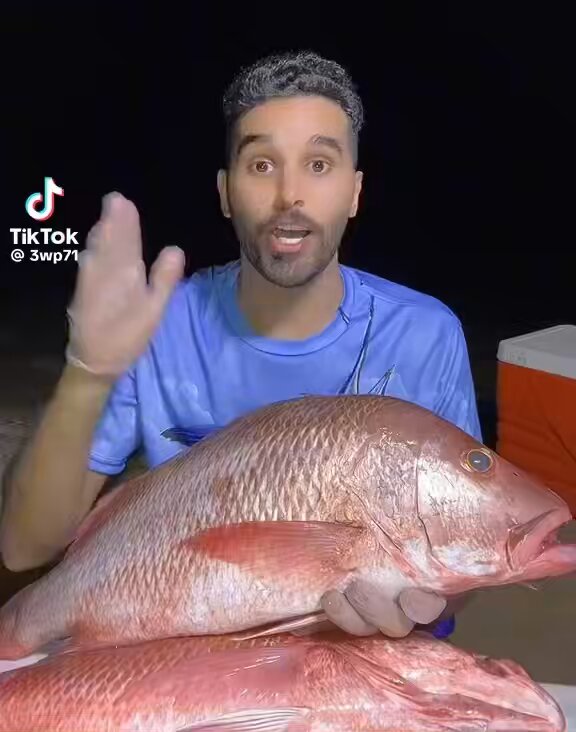 بعد توصية #باسل_الحاج أمس جربت سمكة الشعفن في القلي 🤤 صراحة أول مرة أذوقها وفعلاً بديل ممتااااااز للناجل، رخيصة ومتوفرة بكثرة وأحجامها كبيرة تصلح للولائم، سعر حبة بوزن ٣ كيلو من البنقلة حوالي ٩٠ ريال بينما تاخذ ناجل بهذا الحجم اتوقع ما يقل عن ٢٨٠ ريال 🐟🐟🐟🐟