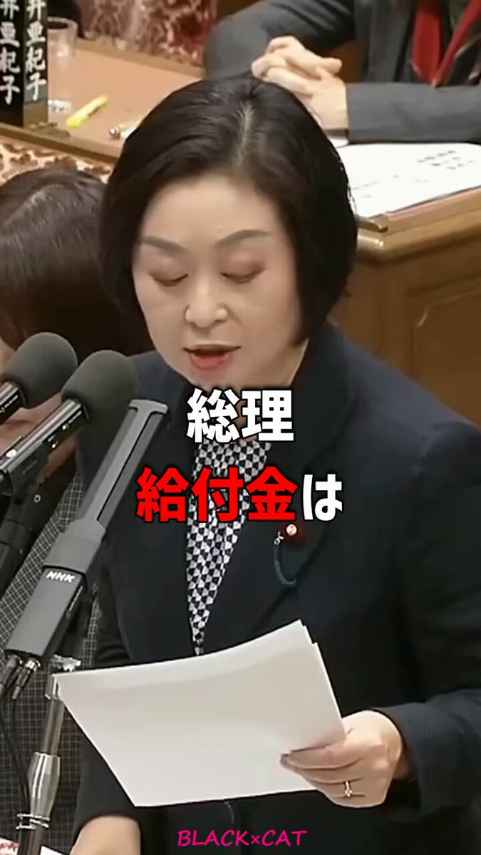#れいわ新選組 #くしぶち万里 総理、嘘つき政治やめてもらっていいですか？ #衆議院選挙2026