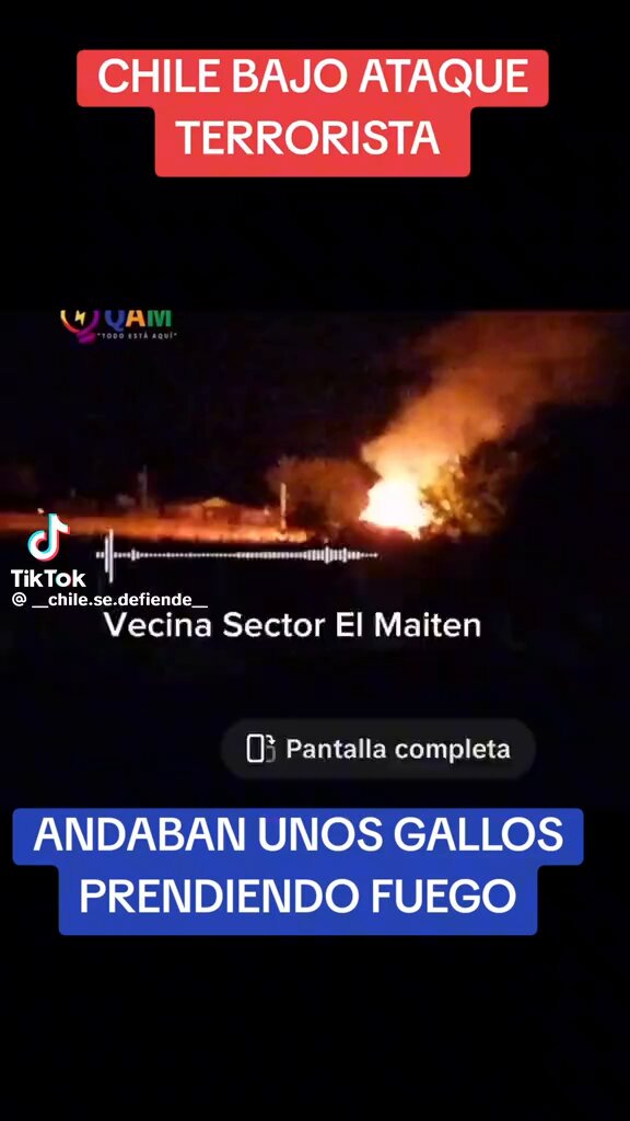 Testimonios de intencionalidad #ChileBajoAtaqueTerrorista penco nuble concepción incendios forestales #BoricElErrorDeChile