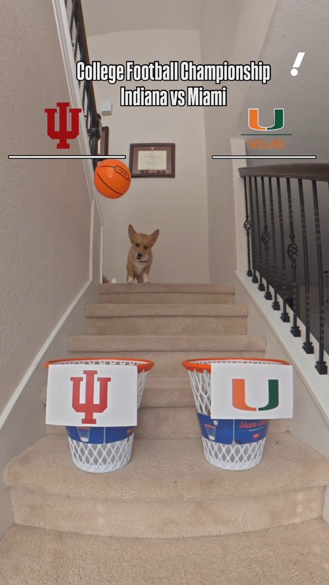 Air Corgi predicts who will be victorious at the CFP National Championship 🏈🔮