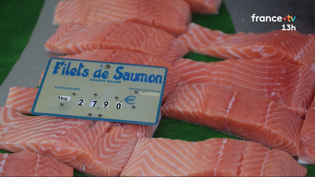La plus grosse ferme de saumons au monde, au Verdon-sur-mer (Gironde) au cœur d'une polémique. Cette "ferme-usine", qui vise à produire 10 000 tonnes de saumon par an, suscite une vive opposition en raison de son impact écologique. #JT13H