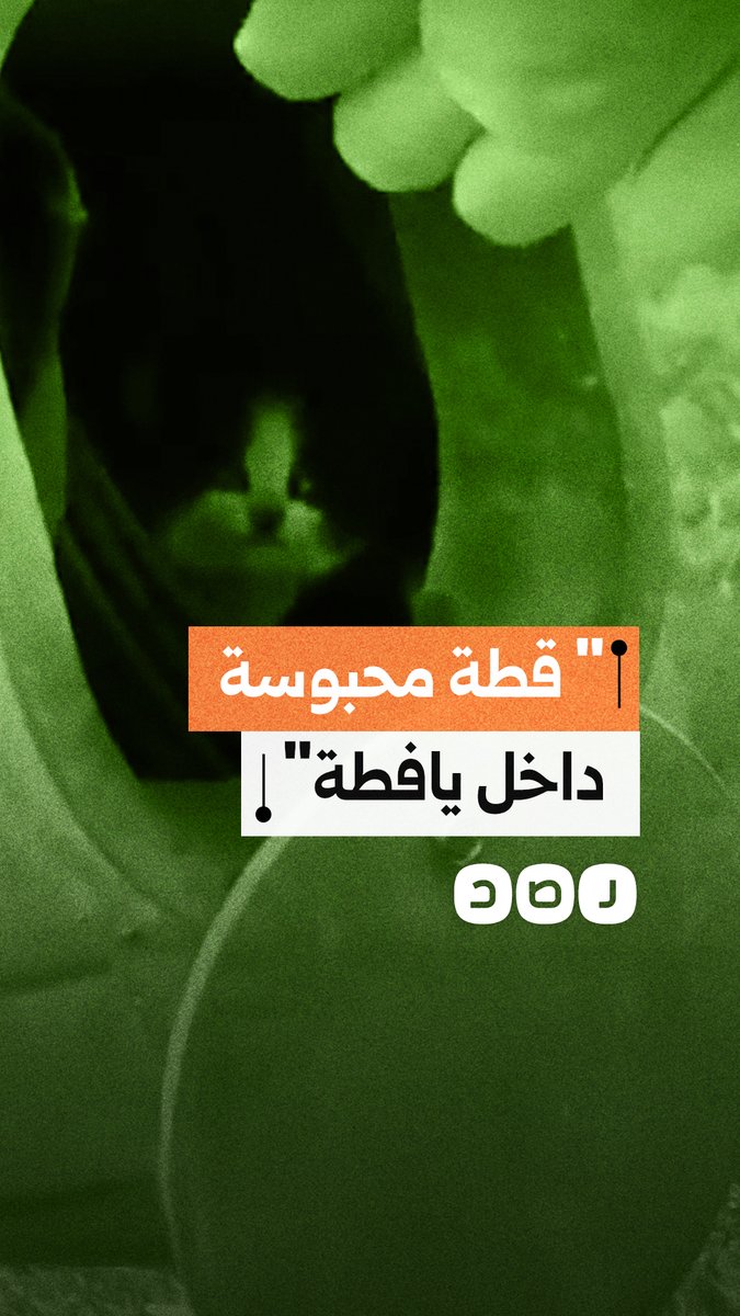 مواطن يناشد الجهات المختصة لإنقاذ قطة محبوسة داخل يافطة بوسط الشيخ زايد