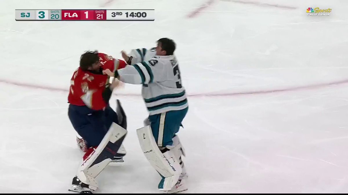 🚨 GOALIE FIGHT 🚨