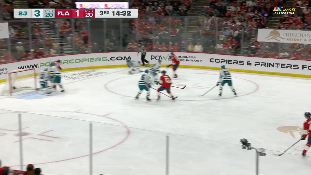 WE GOT A GOALIE FIGHT 🚨‼️ BOBROVSKY AND NEDELJKOVIC 🤯
