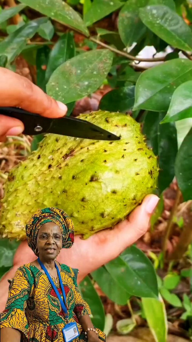 This fruits contains 1,300 times more antioxidant than lemon..