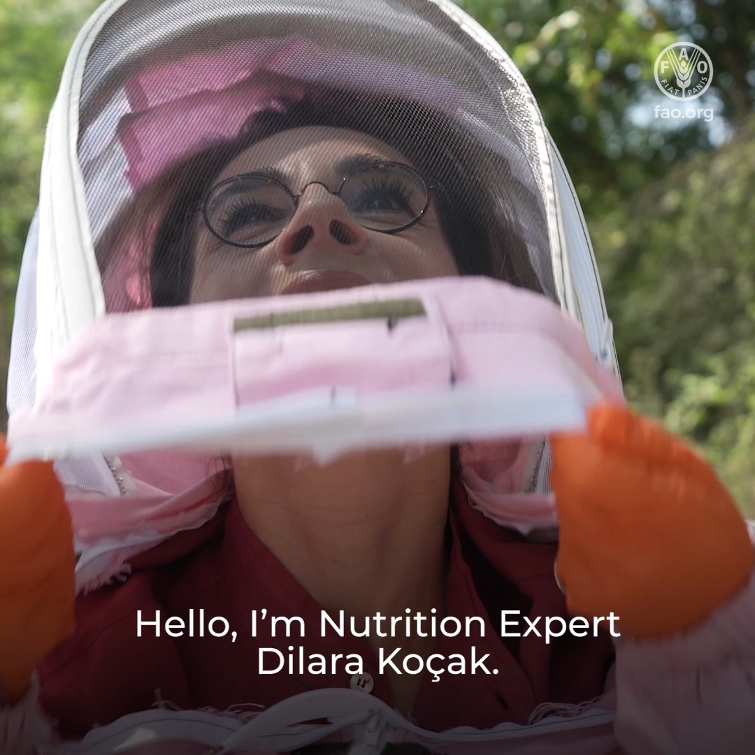 Nurcan Tekneci, once a corporate career woman, now dons a beekeeper’s veil in the Turkish countryside. Food and Agriculture Organization training courses helped her fulfil her new role with better techniques & share her professional transformation with others. 🐝 🔗 #IYWF2026