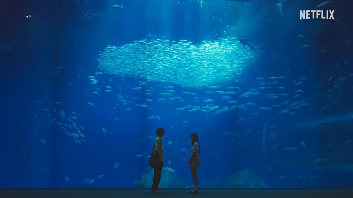 you know me, i can’t get enough of a cute aquarium date 🌊 and that confession??? #GimbapAndOnigiri #EijiAkaso #赤楚衛二 #KangHyewon #강혜원
