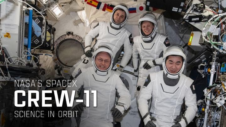 What was #Crew11 up to during their mission? Science, of course. 🔬 From studying bone health to testing new tech, Crew-11 spent 850+ hours advancing research in microgravity that benefits Earth and future space exploration. Take a look!