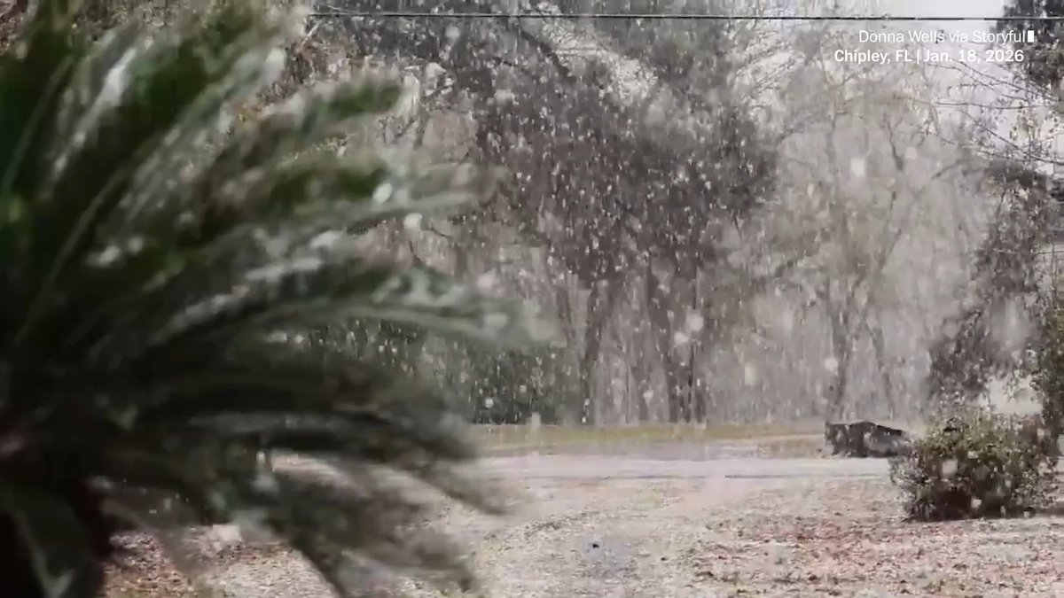 A winter storm brought snow to the Florida Panhandle this weekend. Light snow coated palm trees in the northern part of the sunshine state for the second year in a row.