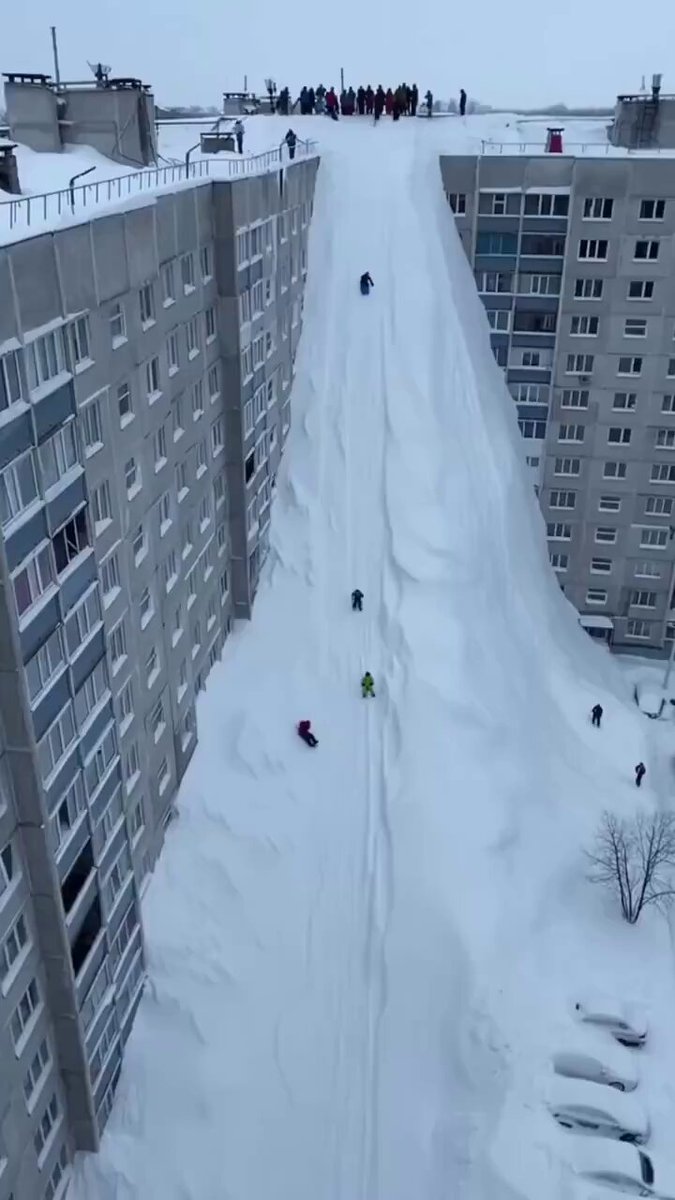 堪察加的孩子 已经实现了小区滑雪