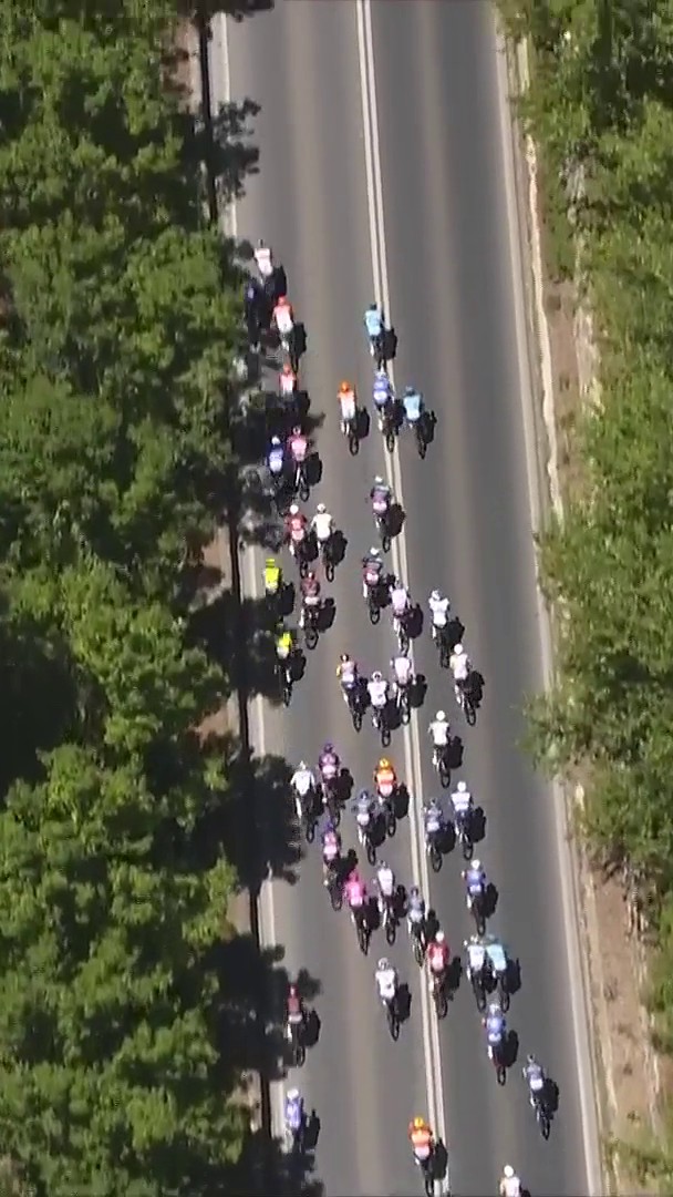⚡Perfect timing, and a perfect execution from the guys at DECATHLON CMA CGM TEAM! A late comeback from Sam Welsford and Matty Brennan can’t challenge the Dane, and Tobias Lund Andresen takes Stage 1! 📺 Stream the race now on 7plus: Vanguard Australia | Santos #TourDownUnder | #couchpeloton