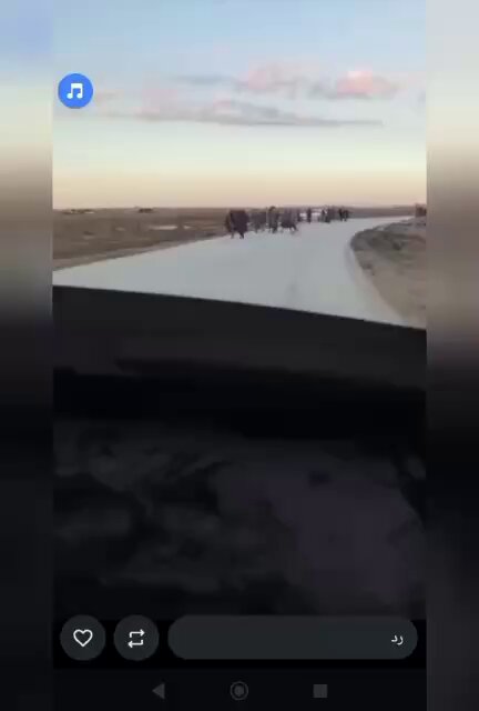 🔴 More footage shows #ISIS prisoners escaping from one of the prisons whose gates were opened by al-Jolani’s militias and factions. The speaker in the video says: “These are prisoners. They are soldiers of the Islamic State.”