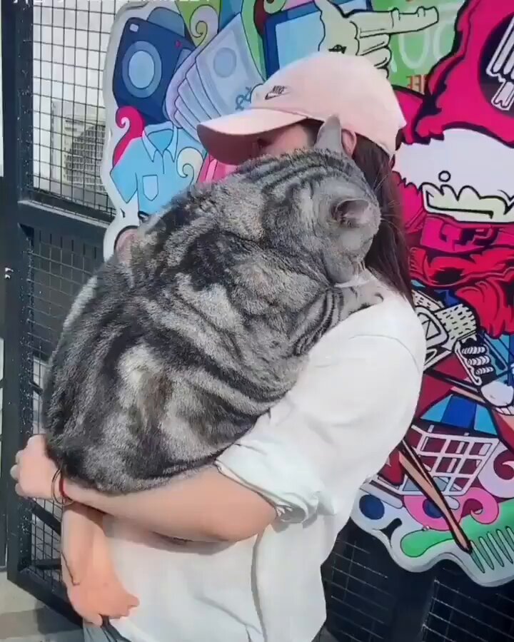 Bro thinks he's still a baby