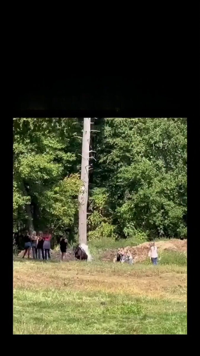 El último deseo de un vaquero de toda la vida fue dar un último paseo en su caballo favorito después de su muerte. Las cenizas del hombre, llevadas por el caballo, fueron dispersadas en su propiedad en un impresionante y único homenaje a su amor por el animal y su forma de vida. Conmovedor.
