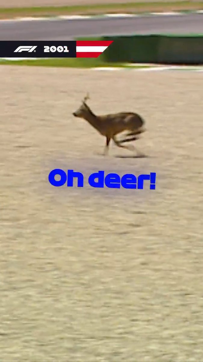 Oh deer! 🦌 A classic Juan Pablo Montoya moment from back in 2001 😅 #F1