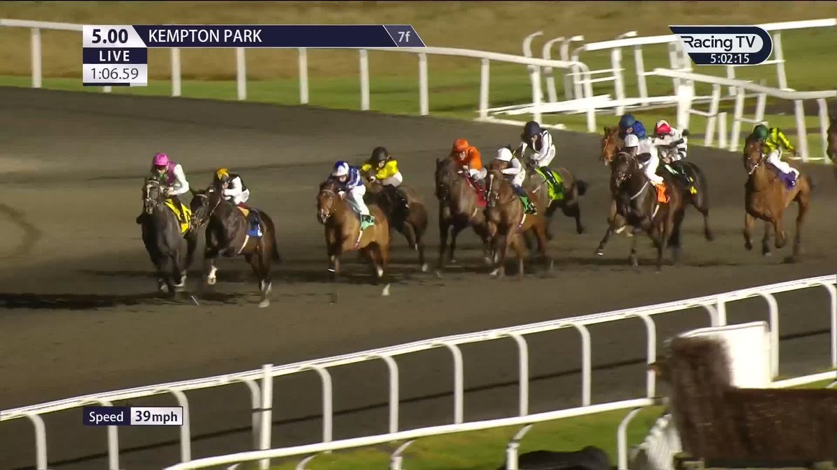 Breathe Easy lands the Unibet Racing maiden for Andrew Balding and Oisín Murphy 🥇 Kempton Park Racecourse