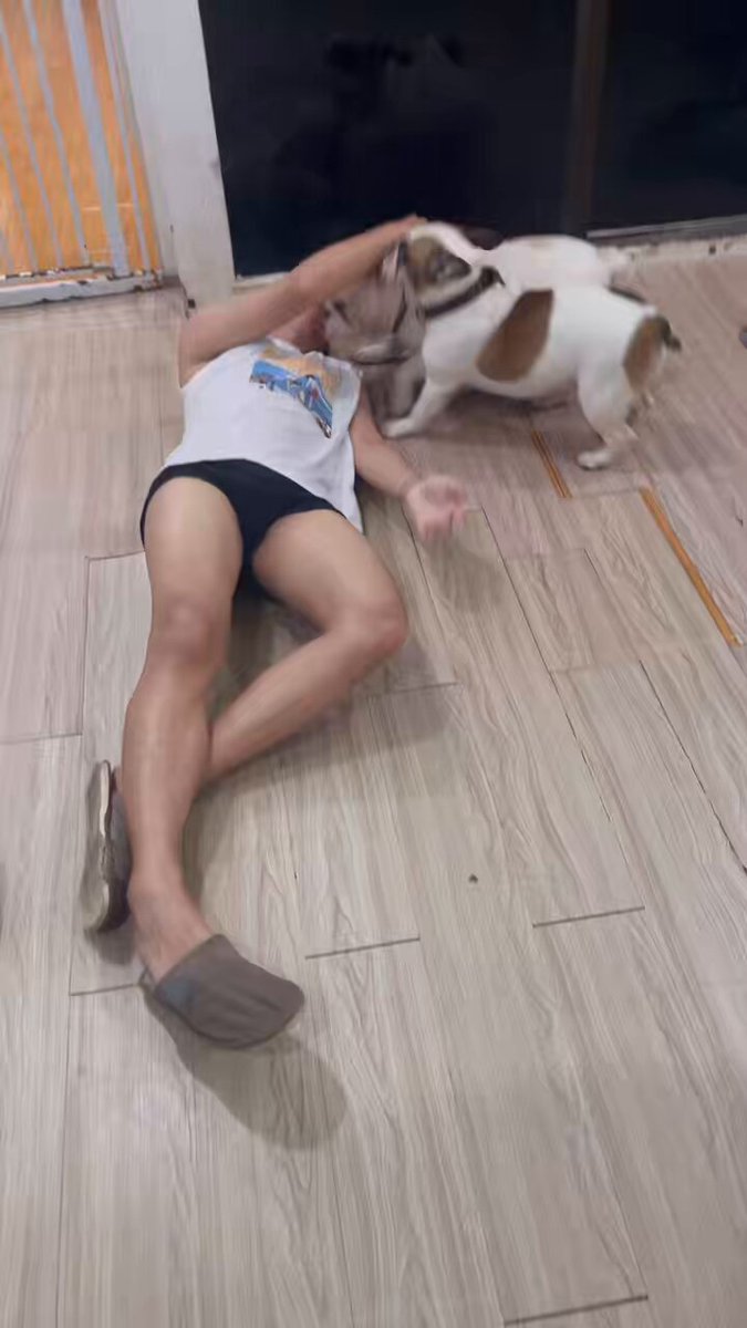 กลับบ้านมาคือเปลี่ยนเสื้อผ้า มาเล่นกับลูกก่อนเลย หมาเด็กกับลูกๆ #อุบลหวานมาก