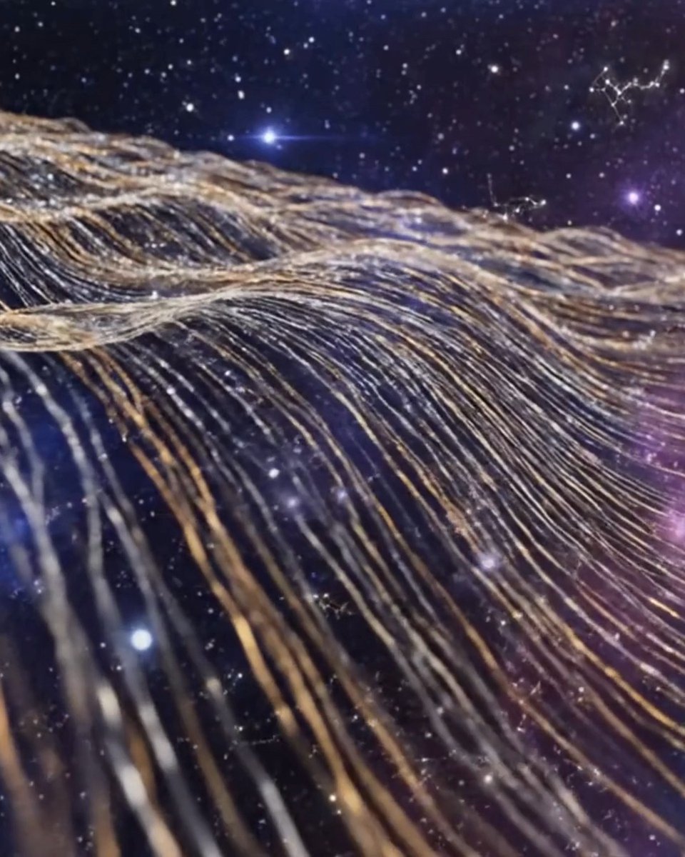 Astronomers have discovered an organized network of magnetized galactic filaments around Sagittarius A*. Shaped by plasma flows and past black-hole activity, these structures preserve a ‘spacememory’ of the Milky Way’s dynamic core. Read more -