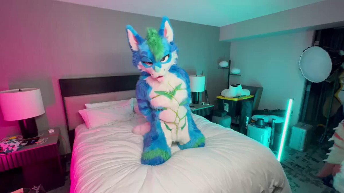 uh oh... someone is all tied up... 🪢 Zeke Skittlegon 🍬🔜 LVFC 📷 Purple Dog ✈️LVFC