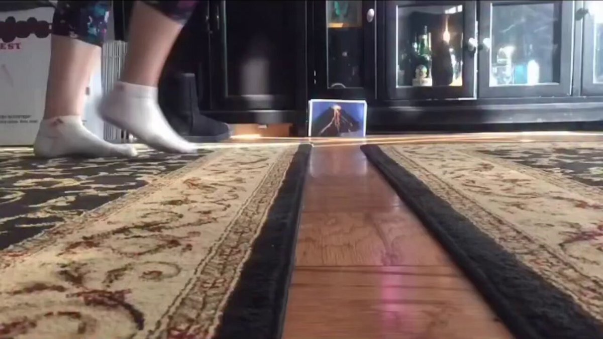 Floor is lava..🐹😅