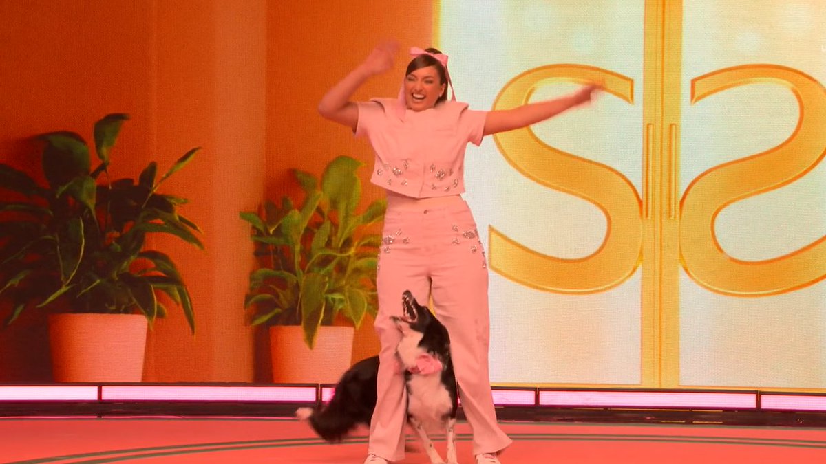 Macy & Tempo take the stage for a dog trick routine in the Variety category LIVE on #StarSearch