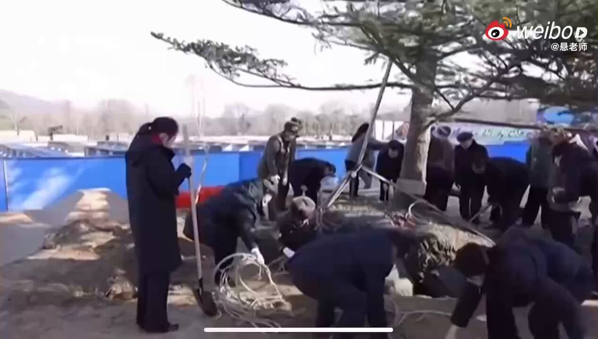 原则上叉车臂上是绝对不允许站人的！但是对于对朝鲜人民来说，这个原则——金太阳就在这辆叉车上！如果出了事故，那就是革命烈士了，并且如果有谁敢质疑的话，那一定是反革命叛徒！