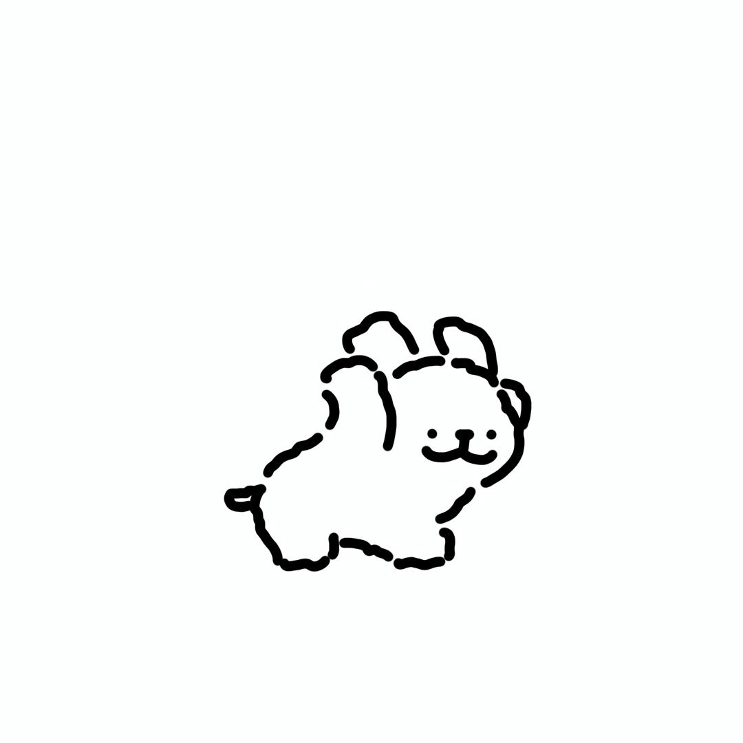 Doggy dance🐶🕺