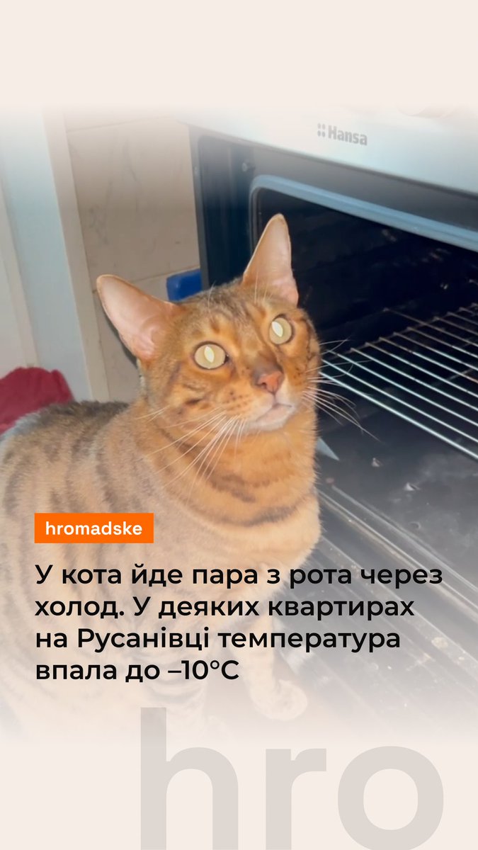 Це Русанівка, бульвар Ігоря Шамо. У будинку не топлять із 9 січня. А після удару «шахеда» там іще й вибиті вікна та порвало батареї. У деяких квартирах температура впала до –10°C. Багато мешканців виїхали. Ті, хто залишився, рятують батареї як можуть: ставлять біля них пічки із вогнетривкої цегли й каструлі з гарячою водою, намагаються не допустити нових проривів. На відео — квартира мешканки Вікторії. У неї двоє котів. Один із них гріється біля духовки. Про те, як виживають люди, які залишилися в цьому будинку, — читайте незабаром у тексті на нашому сайті