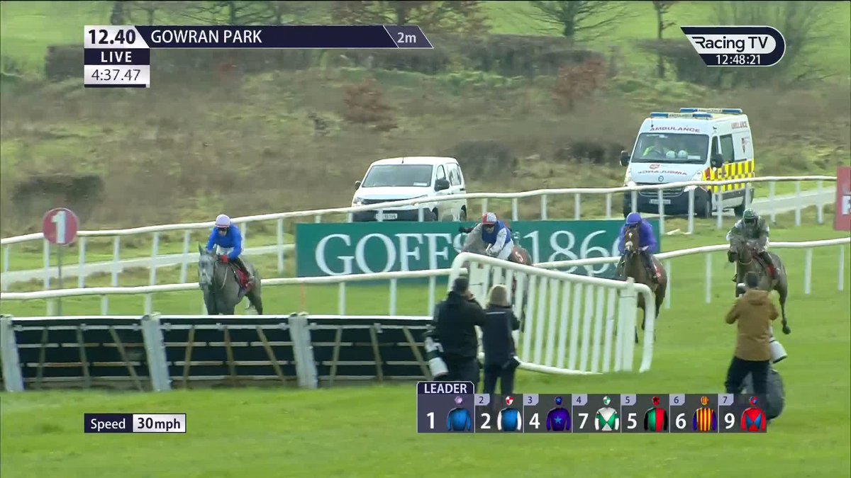 A first winner in over three weeks for GavinCromwell Racing as Champagne Jury gets favourite backers off to a winning start on Goffs Thyestes day at Gowran Park Connolly's RED MILLS