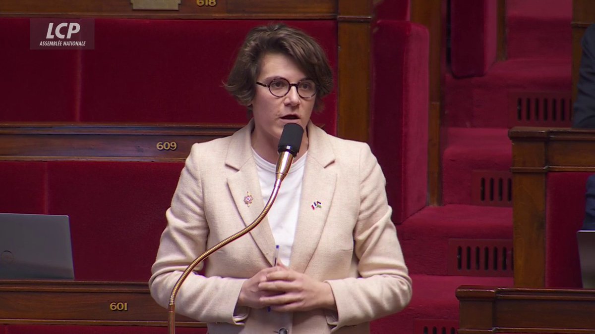"Il y a un racisme systémique dans la police", considère Gabrielle Cathala (LFI). #DirectAN