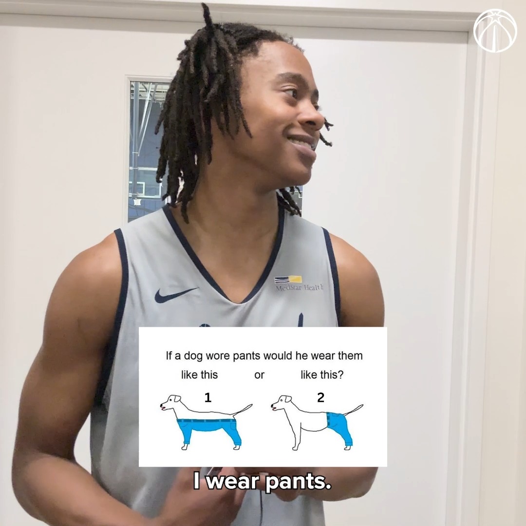 But fr though, how would a dog wear its pants? 🤔