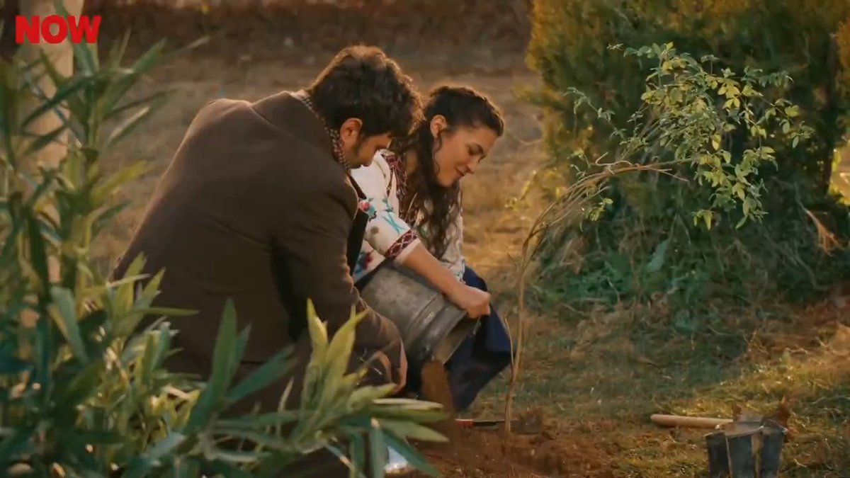 Her şeye rağmen çok güzel gözüküyorlar! ♥️ #YılSer #halef yeni bölümüyle NOW'da devam ediyor. Halef: Köklerin Çağrısı