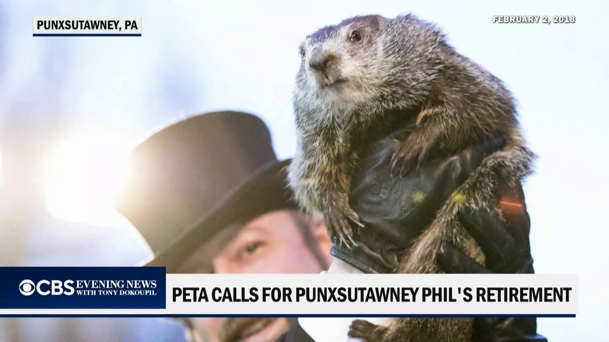 Pennsylvania Gov. Josh Shapiro is doubling down on his public defense of Groundhog Day and Punxsutawney Phil as PETA lobbies to replace the rodent with a giant gold coin, vegan “weather reveal” cake or 3D hologram.