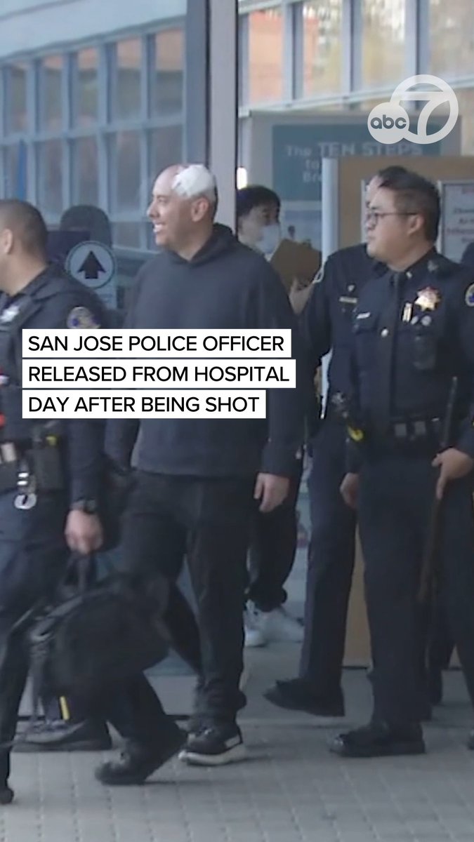 The San Jose police officer who was shot during a carjacking chase in San Jose on Wednesday has been released after a day in the hospital. Following the shooting, the sergeant was reported to be stable but in critical condition. He was shot in the head, but was released from the hospital with a bandage, escorted by his coworkers at the San Jose Police Dept. For more information, click the link below
