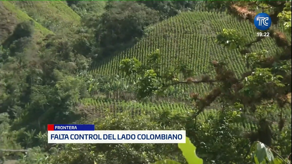 Ni un solo militar en Colombia mientras los Militares Ecuatorianos solo pueden ver las grandes cantidades de hojas de Coca en el vecino país. Pero te toca leer a Ecuatorianos defendiendo al inútil de Petro por estar en contra del Gobierno.