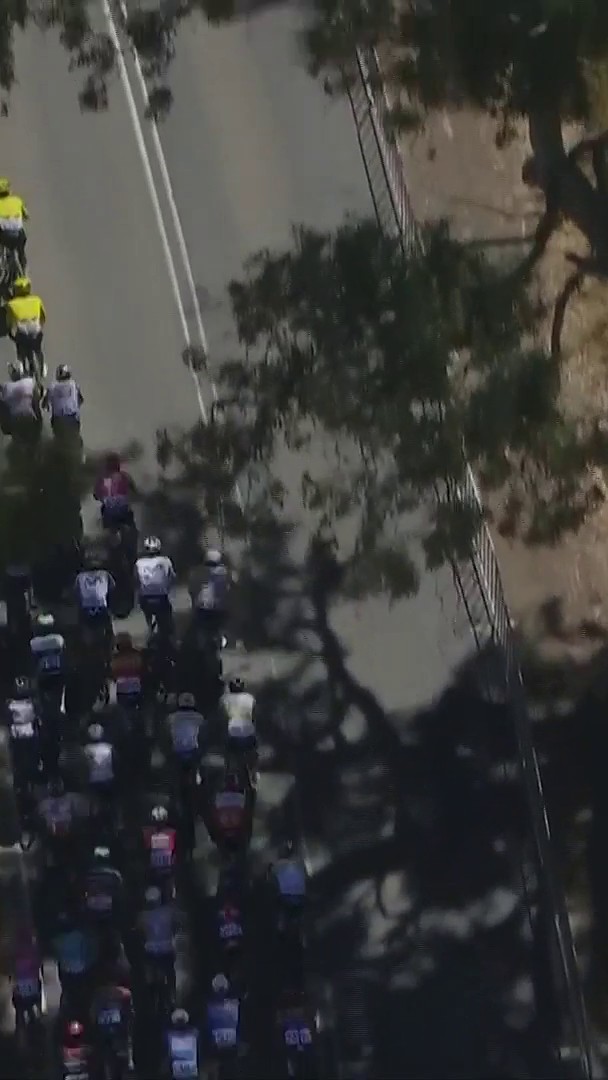 Sam Welsford (Ineos Grenadiers) s'adjuge au sprint la 3e étape du #TourDownUnder, obtenant son 1er succès avec sa nouvelle équipe. L'Australien (30 ans) devance Tobias Lund Andresen (Decathlon-CMA CGM) et Lewis Bower (Groupama-FDJ United).