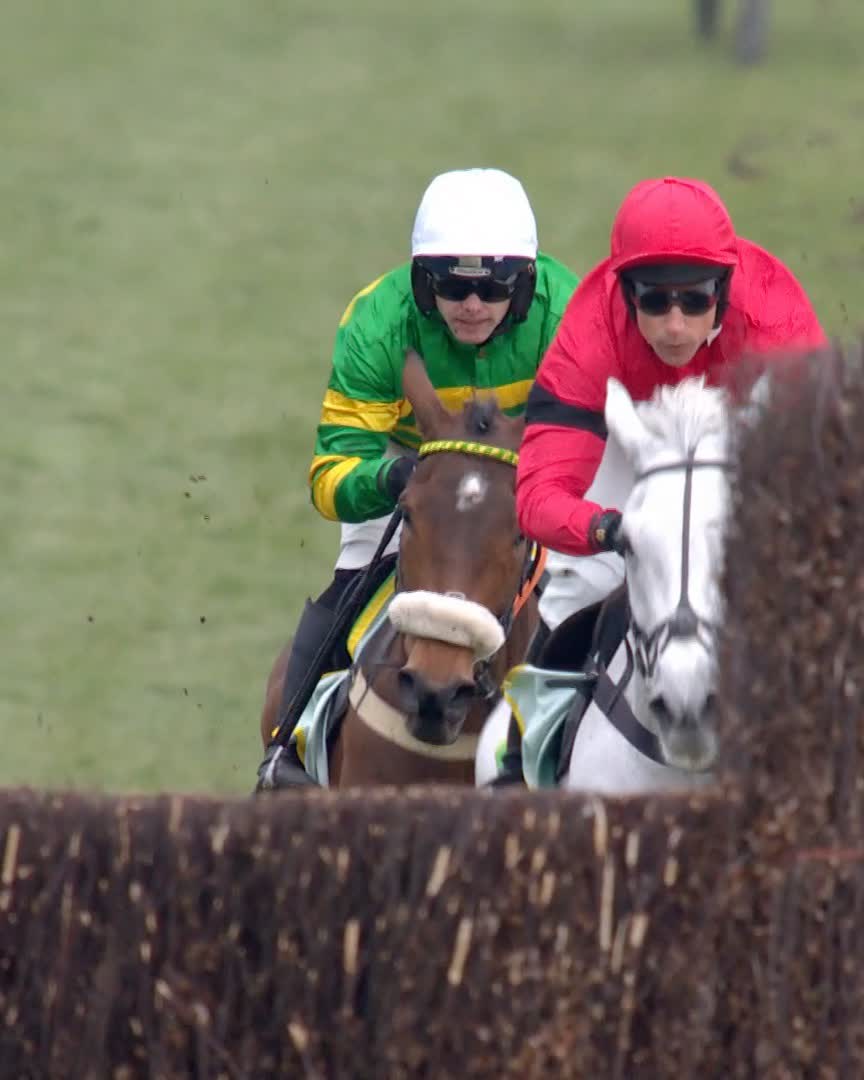 Is Grey Dawning the ‘banker’ the market is suggesting at CheltenhamRacecourse tomorrow? Is this a real Gold Cup contender?
