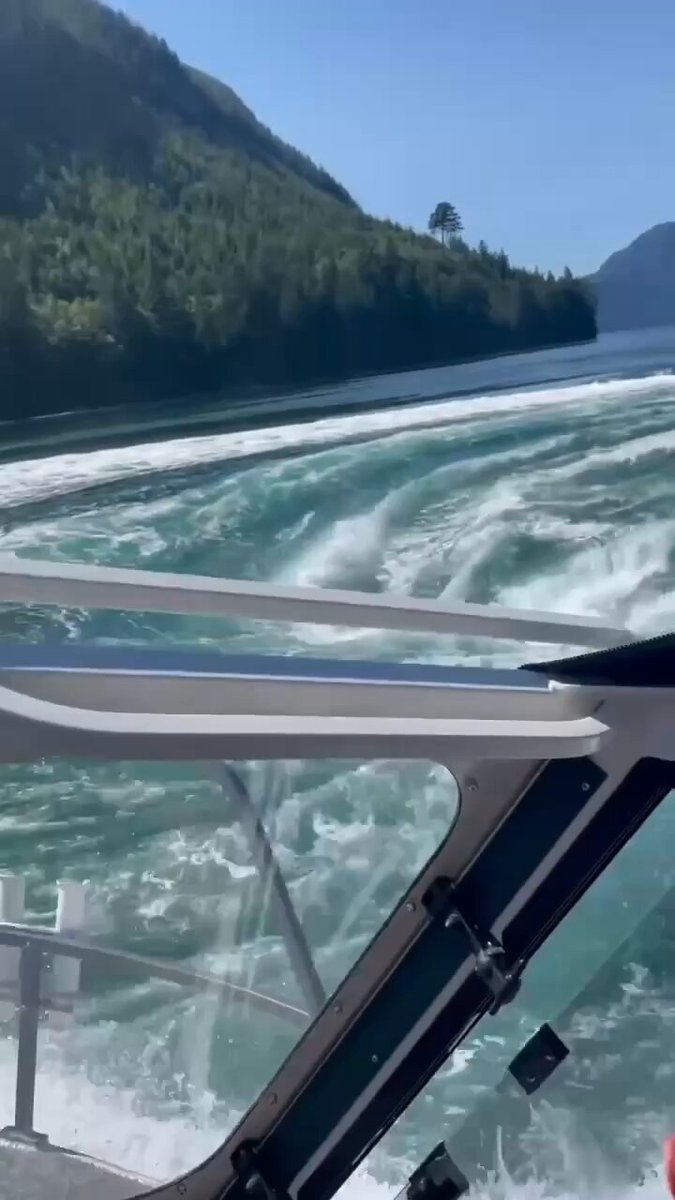 🌊 On appelle ce tourbillon naturel le trou du diable 😱 Situé au Canada, dans les rivières sauvages de la Colombie-Britannique, le trou du diable est un puissant tourbillon naturel où les eaux rugissantes se tordent pour former ce phénomène impressionnant.