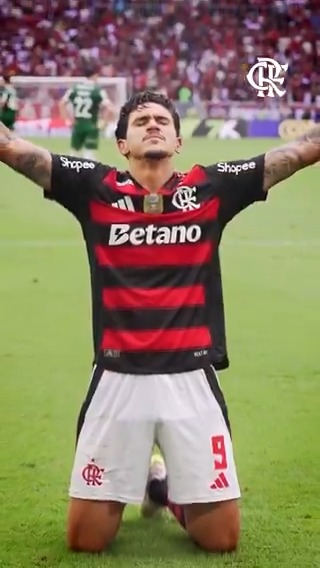 Simplesmente Pedro.