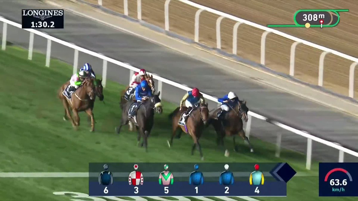Oh. My. Word 𝐎𝐏𝐄𝐑𝐀 𝐁𝐀𝐋𝐋𝐎 was simply poetry in motion in the Jebel Hatta 🔵🔵🔵 What a serious animal ... #FashionFriday | #DubaiCarnival